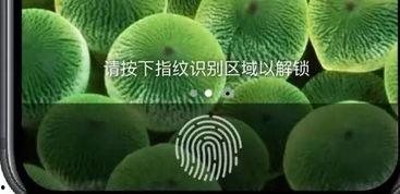 青瓜最新爆料图片,独家图片揭秘幕后真相